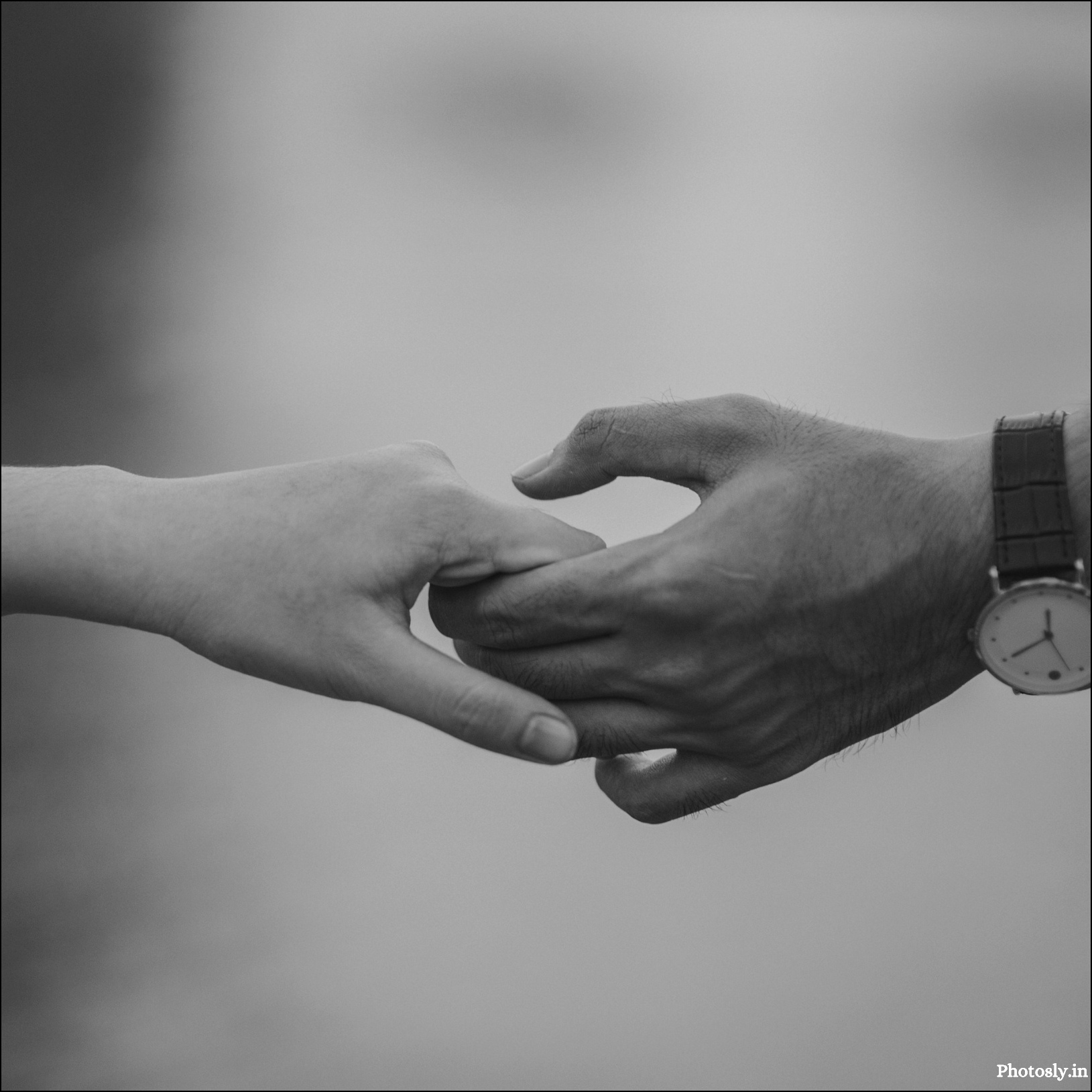 Love-dp
