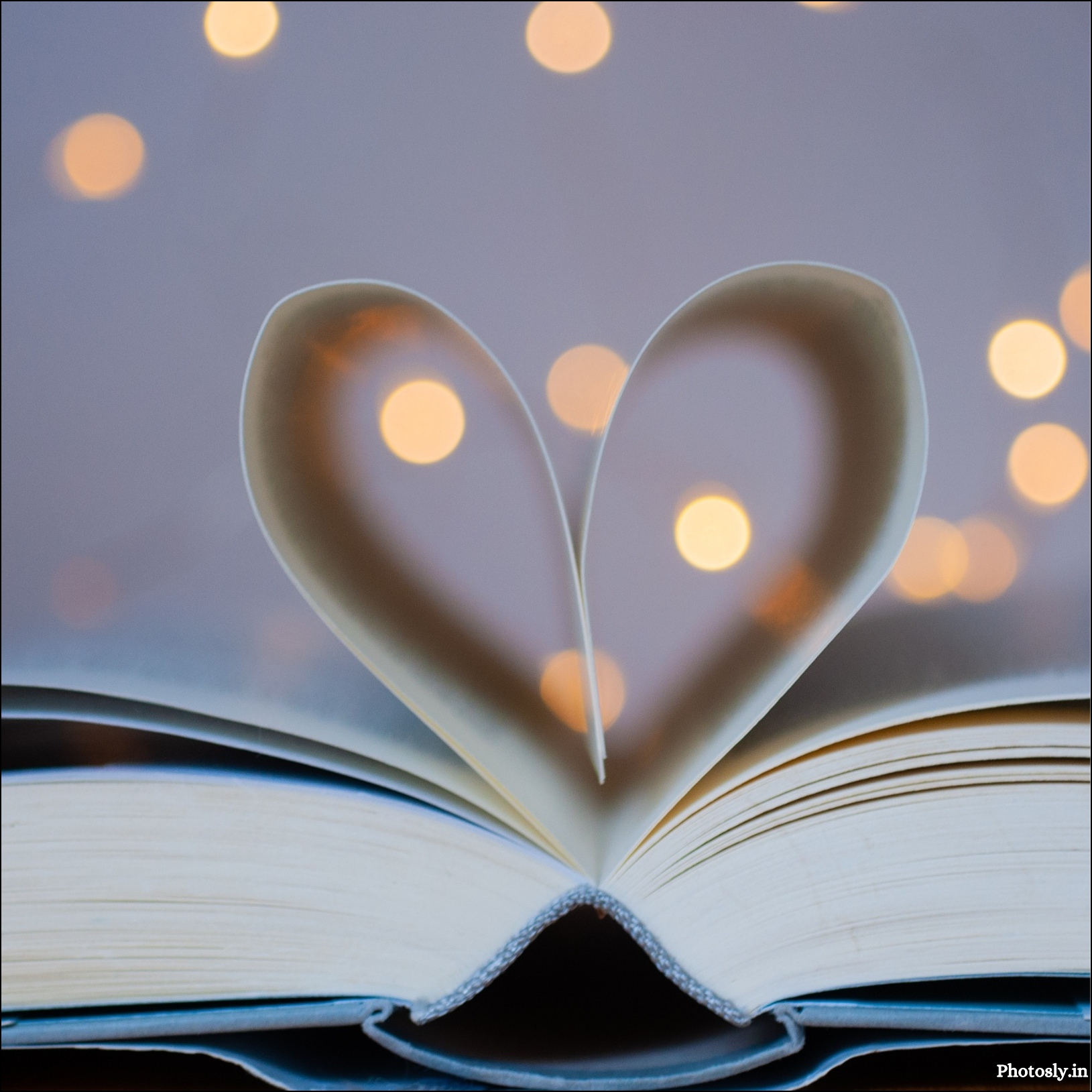 Love-dp