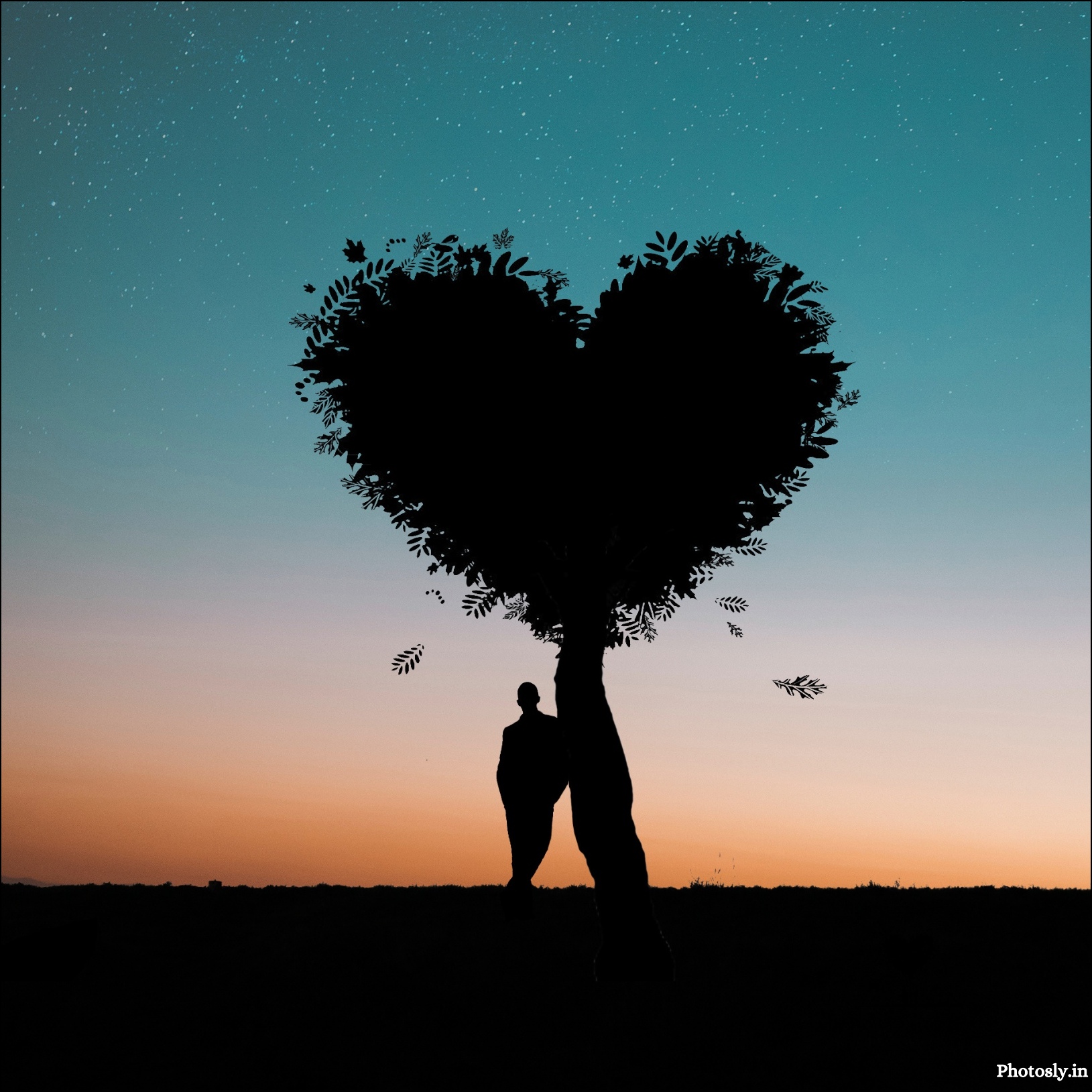 Love-dp