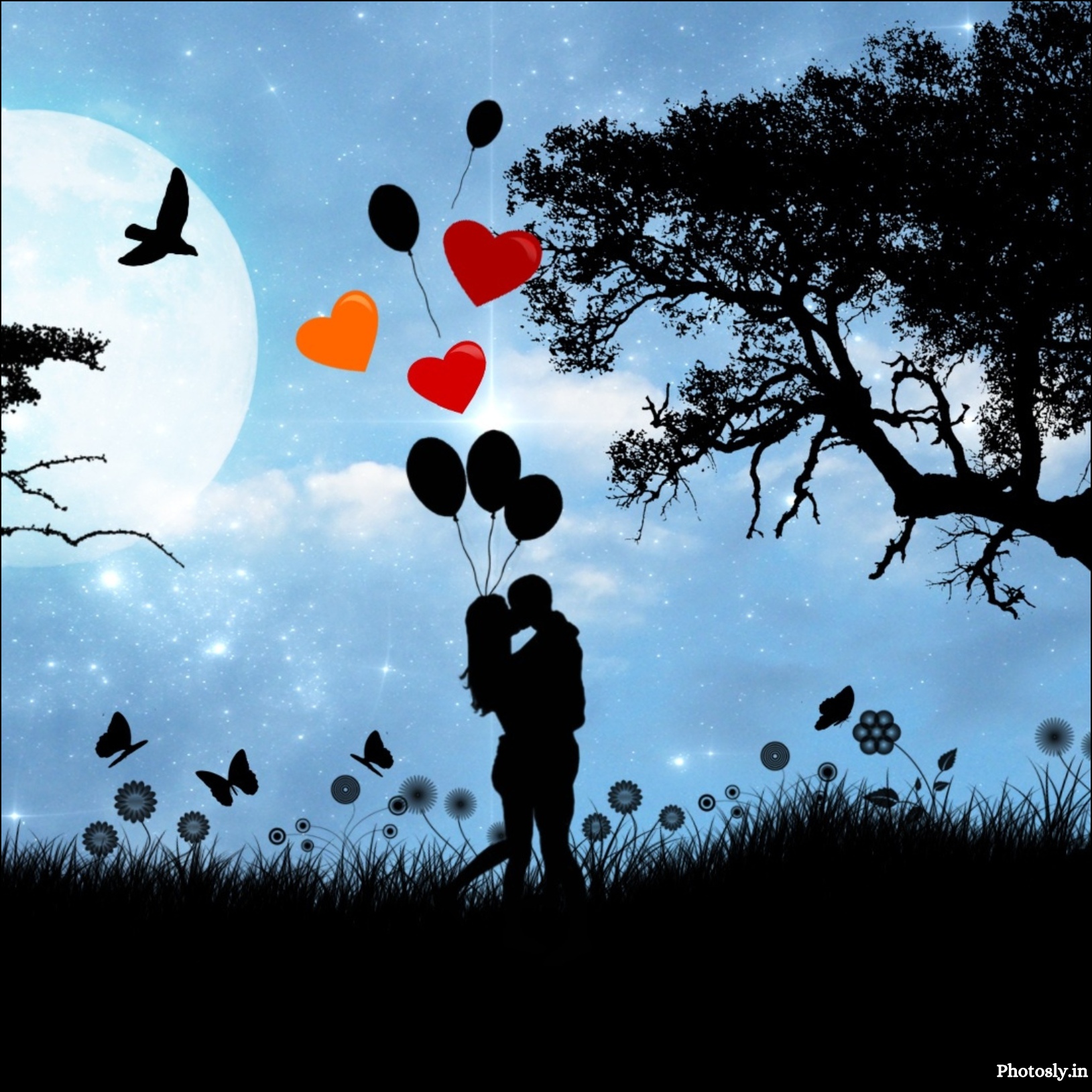 Love-dp