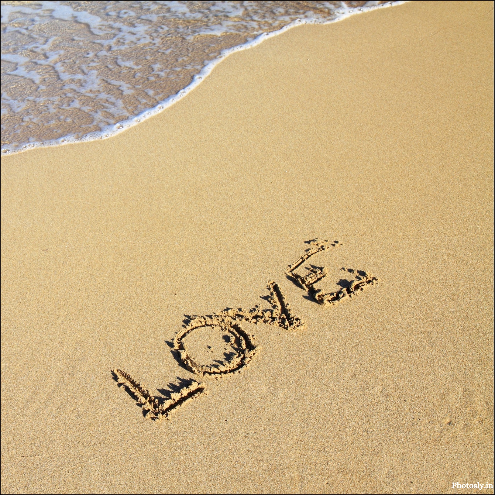 Love-dp