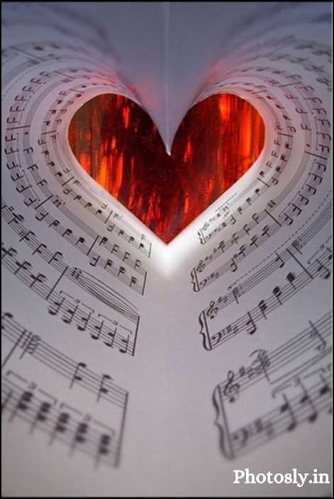 Love-dp