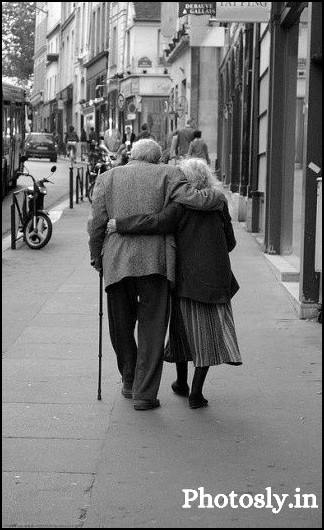 Love-dp