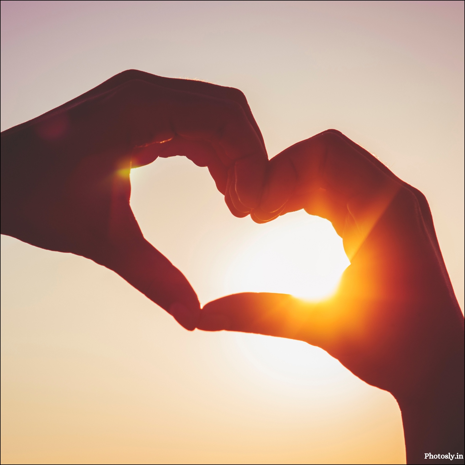 Love-dp