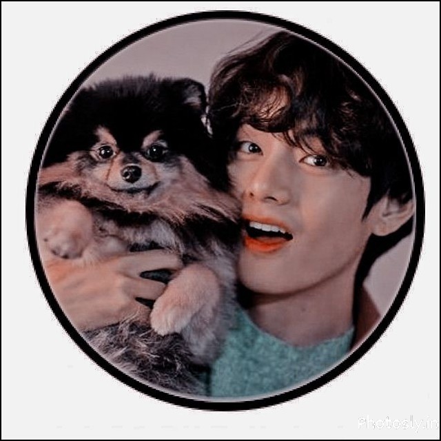 bts-dp