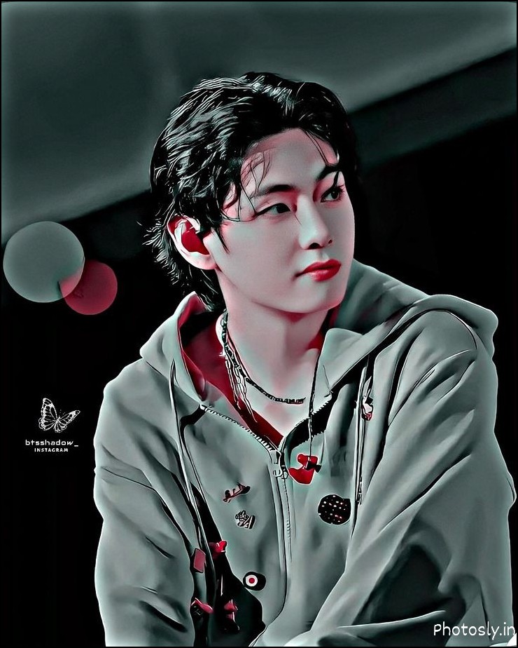 bts-dp