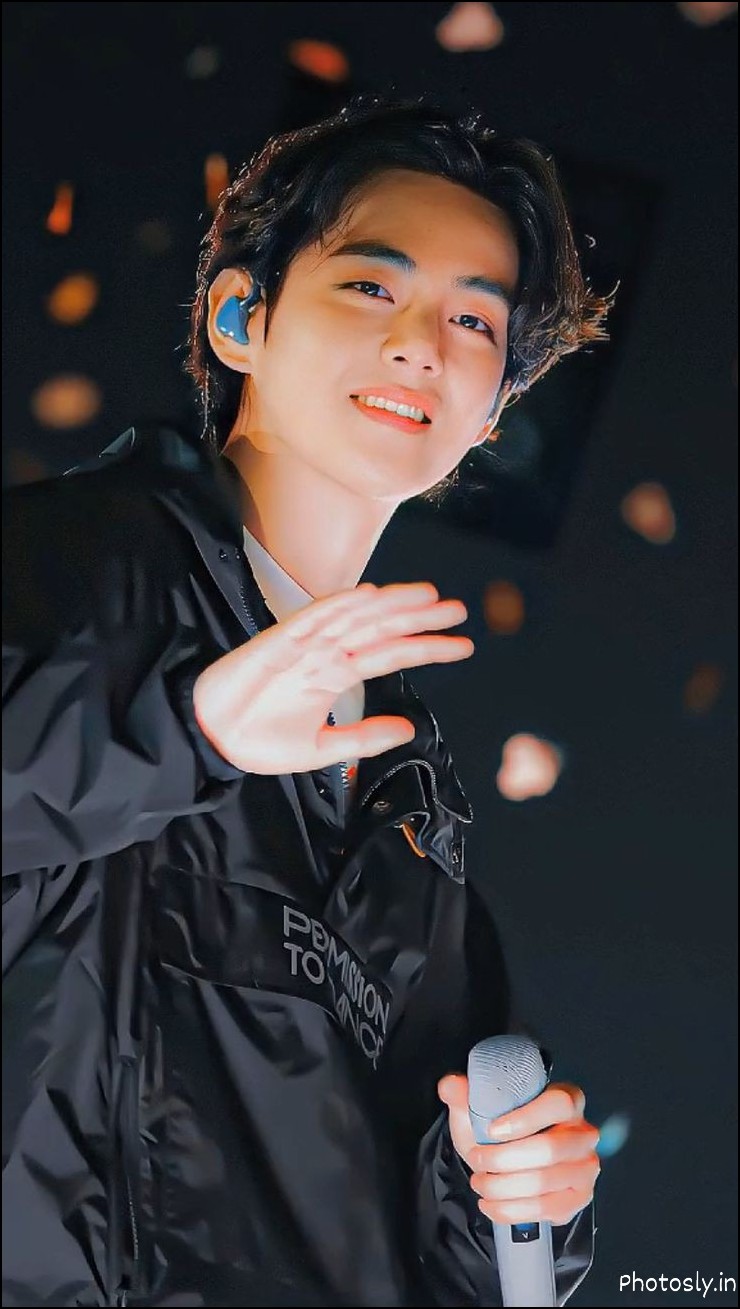 bts-dp
