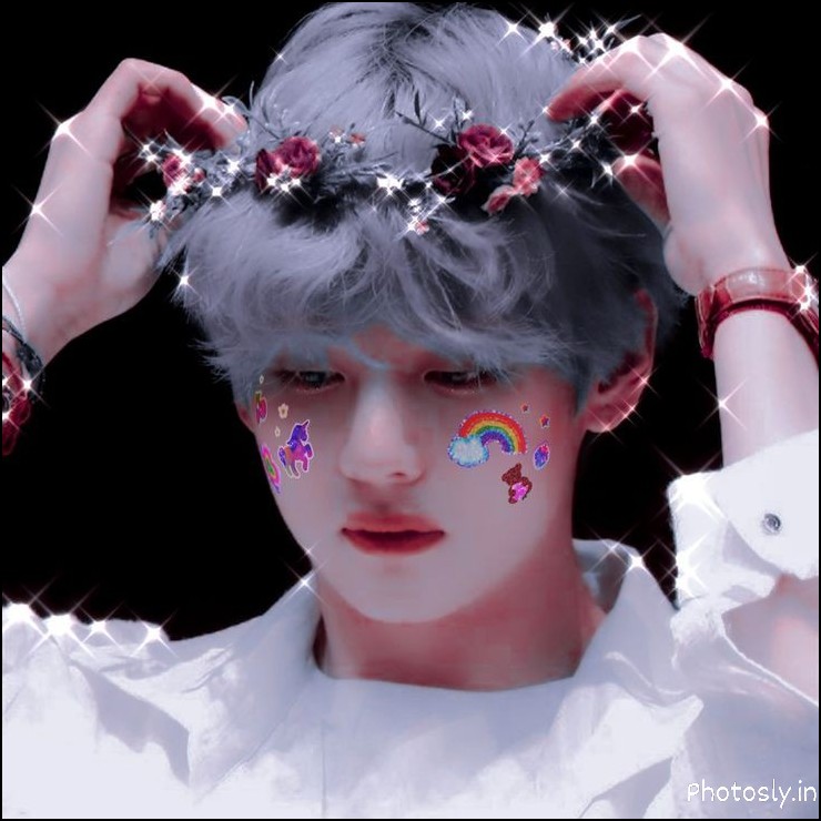 bts-dp