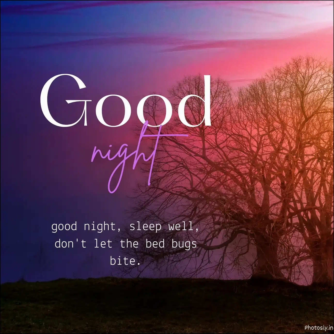 1005 Good Night Images Pics Photos Pictures Wallpapers 2026 1005 Good Night Images Pics Photos Pictures Wallpapers 2026