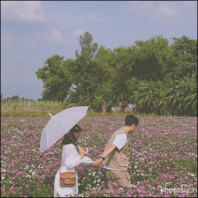 romantic-dp
