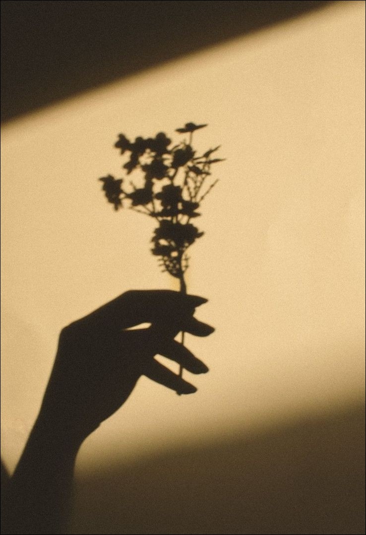 Aesthetic-Dp-for-instagram