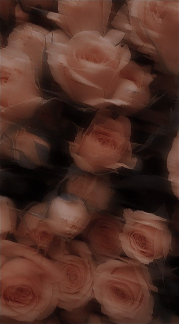 Aesthetic-Dp-for-whatsapp