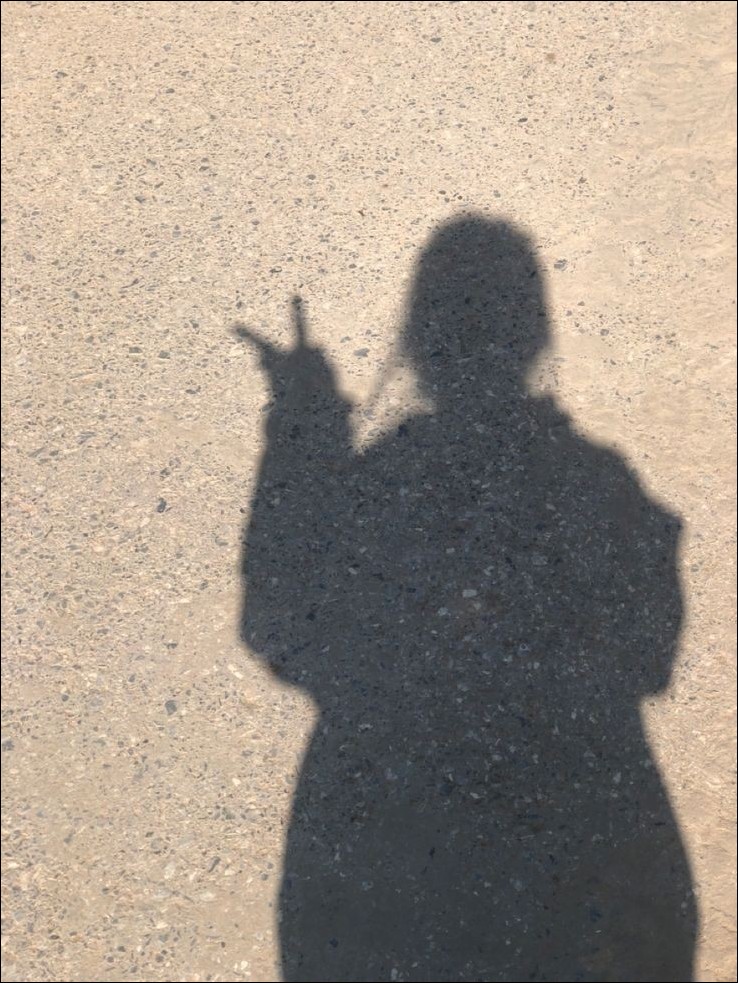Aesthetic-Dp