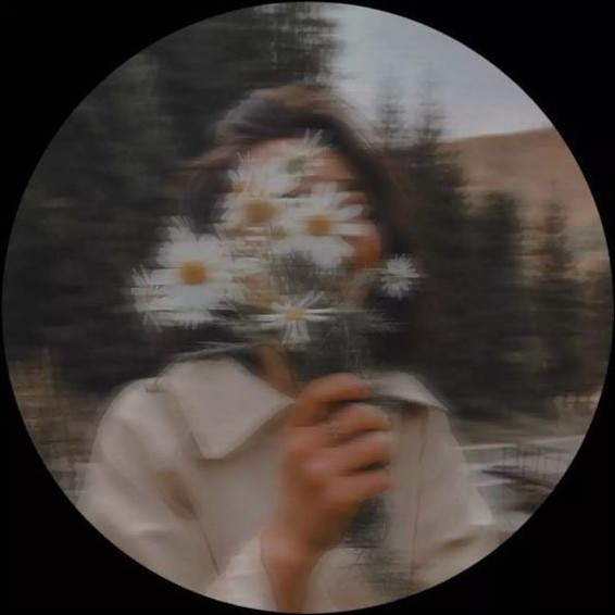 Aesthetic-Dp