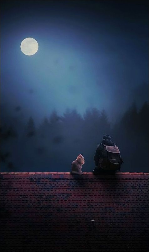 Alone-dp