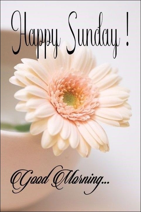 beautiful-happy-sunday-images beautiful-happy-sunday-images