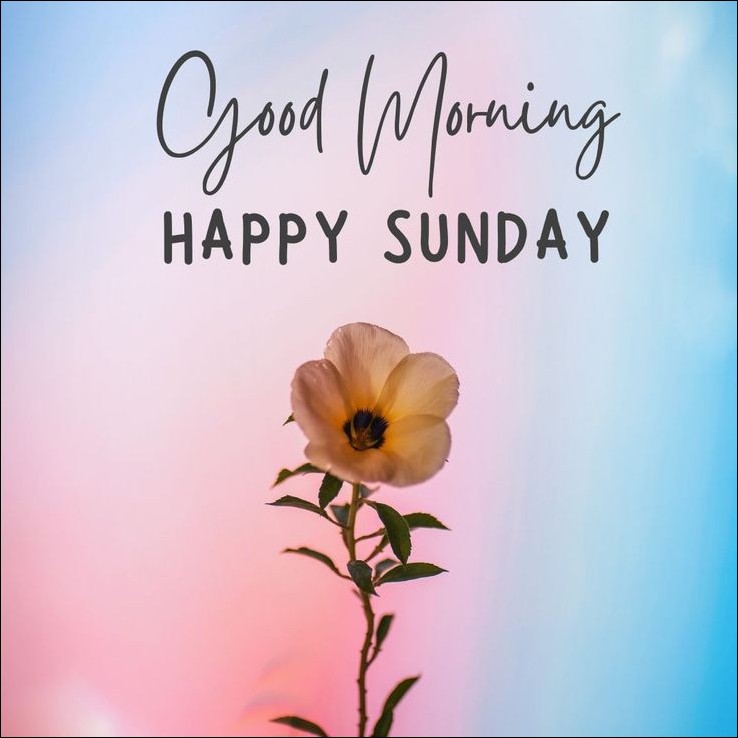 beautiful-happy-sunday-images beautiful-happy-sunday-images