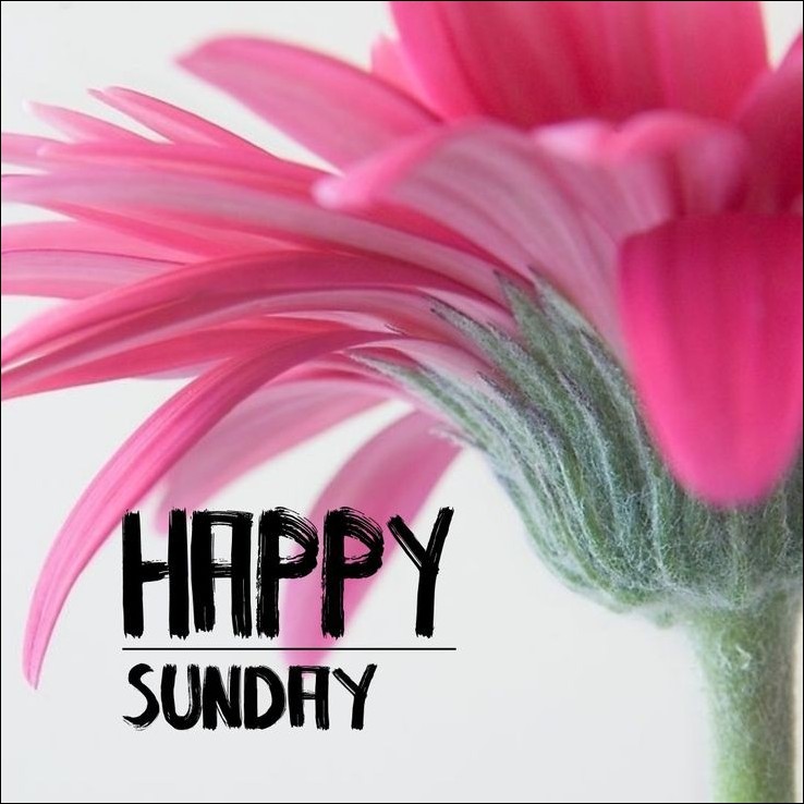 beautiful-happy-sunday-images beautiful-happy-sunday-images