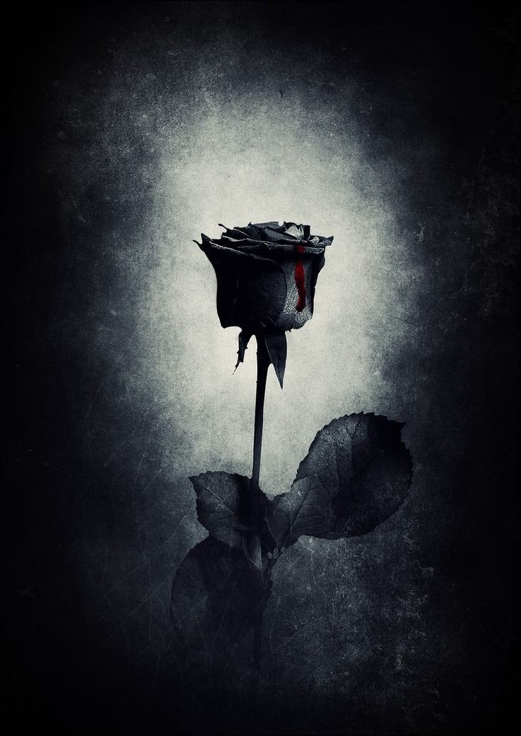 black-dp