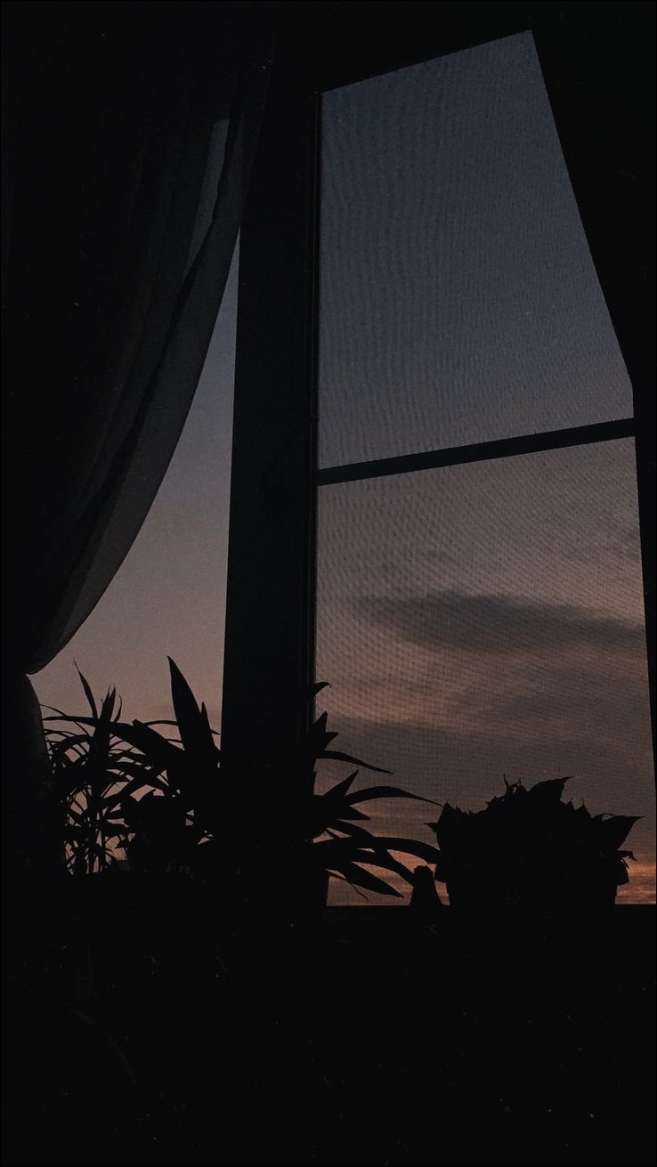 black-dp