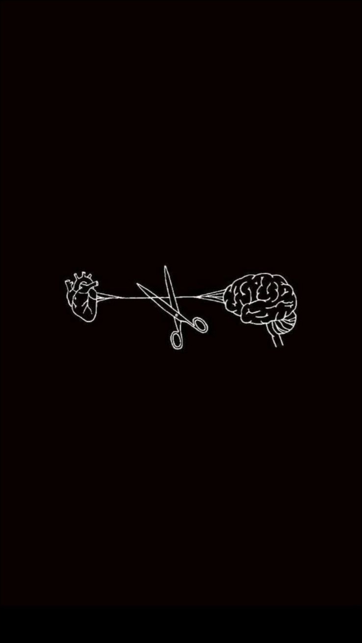 black-dp