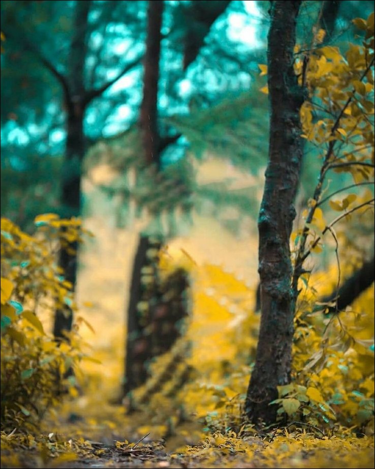 blur-cb-background-hd blur-cb-background-hd