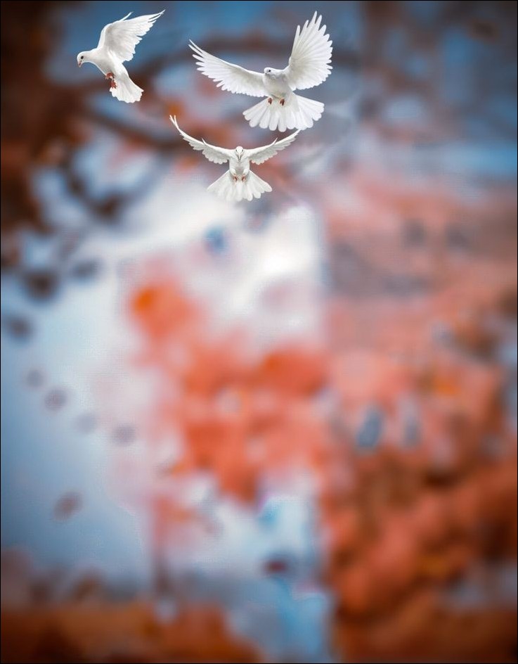 blur-cb-background-hd blur-cb-background-hd