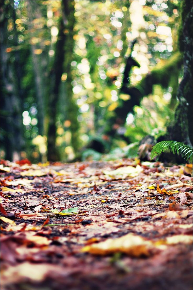 cb-background-hd cb-background-hd