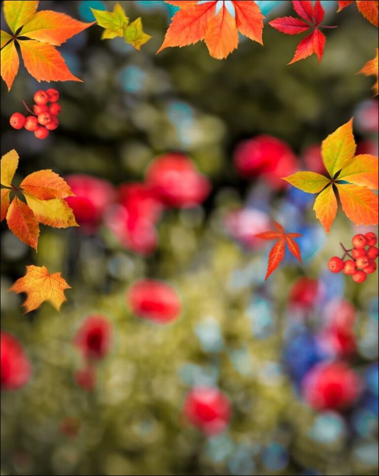 cb-background-hd cb-background-hd