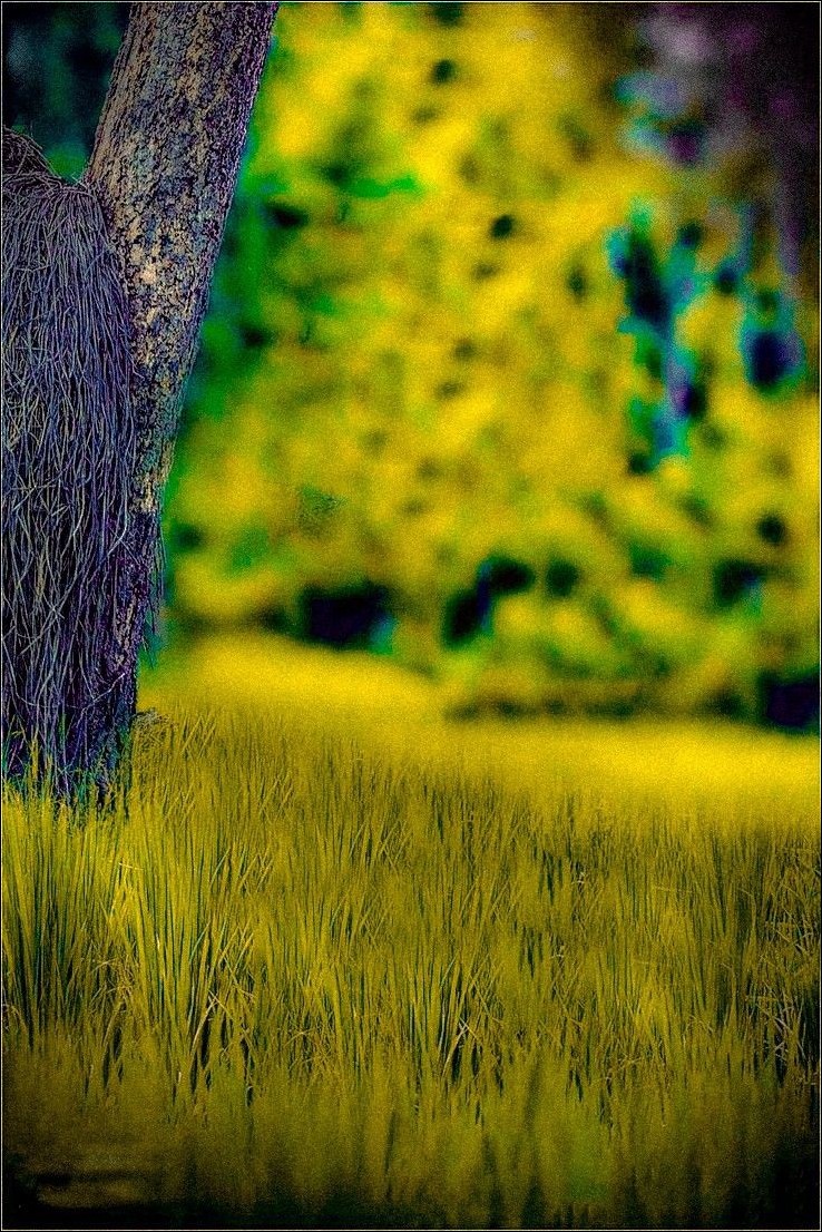 cb-background-images cb-background-images