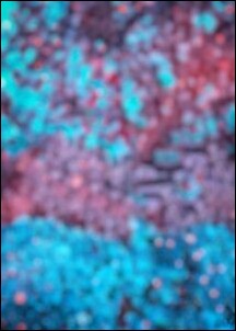 cb-background-images cb-background-images