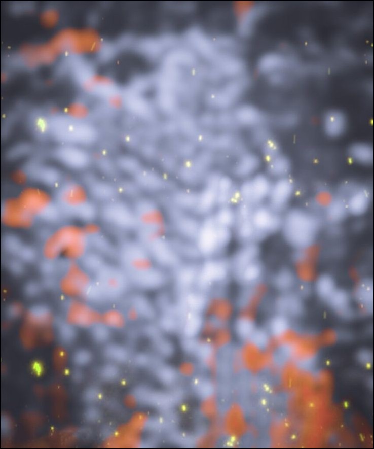 cb-background-images cb-background-images