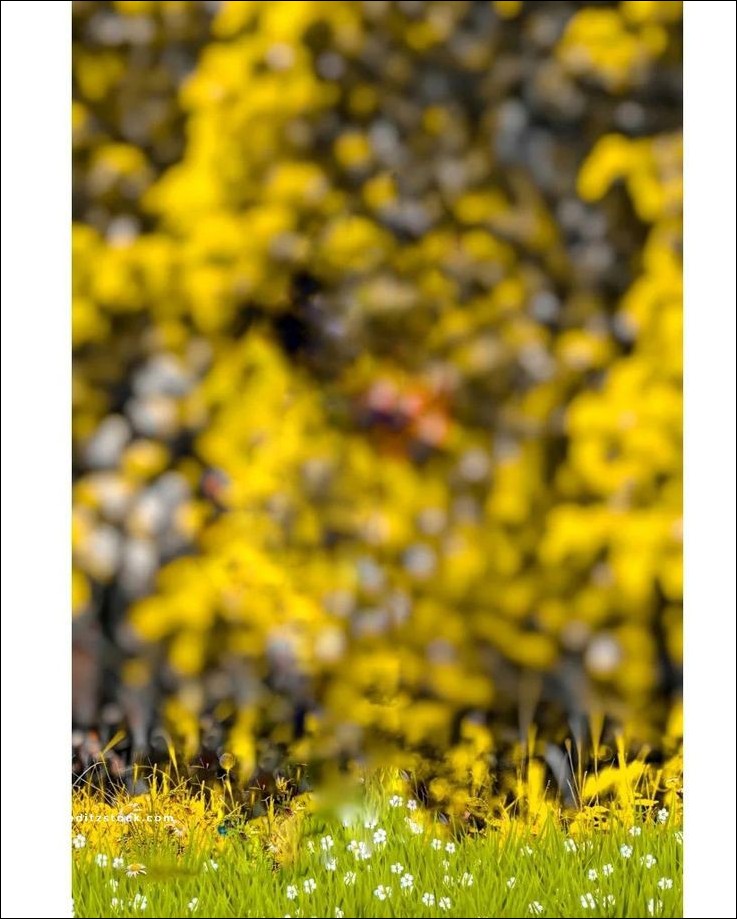 cb-background-images cb-background-images