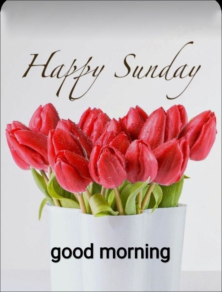 good-morning-happy-sunday-images good-morning-happy-sunday-images