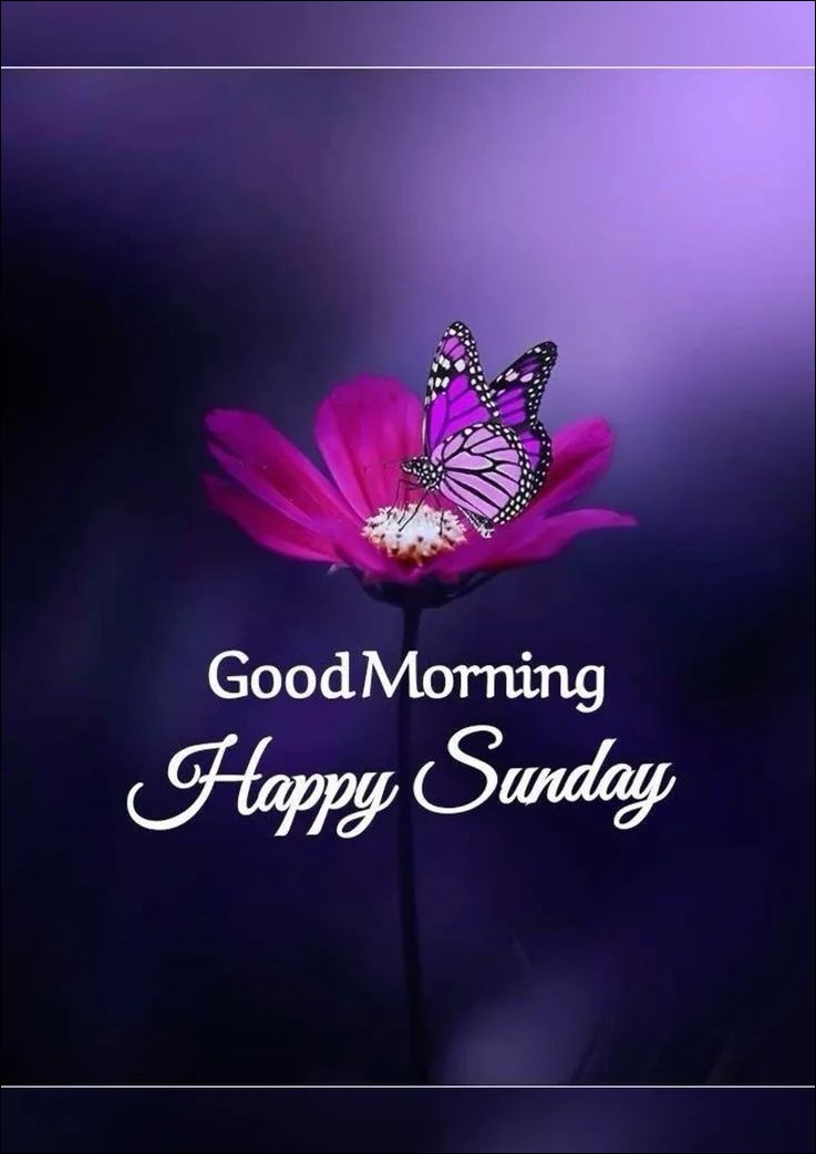 good-morning-happy-sunday-images good-morning-happy-sunday-images