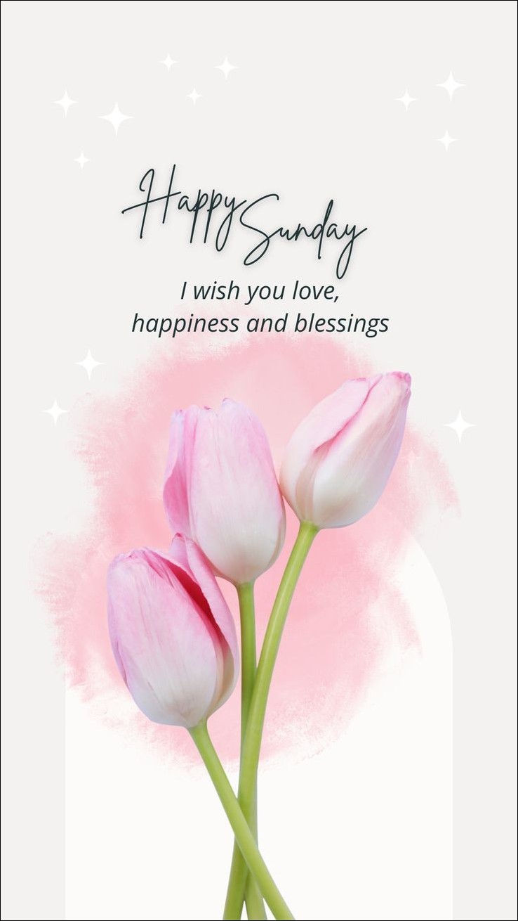 good-morning-happy-sunday-images good-morning-happy-sunday-images