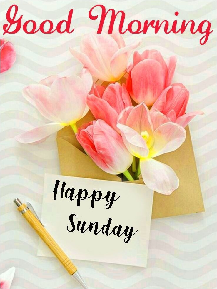 good-morning-happy-sunday-images good-morning-happy-sunday-images