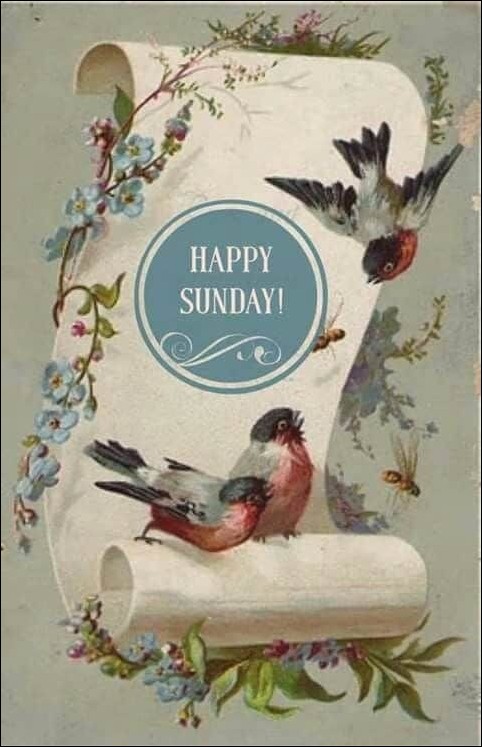 good-morning-happy-sunday-images good-morning-happy-sunday-images