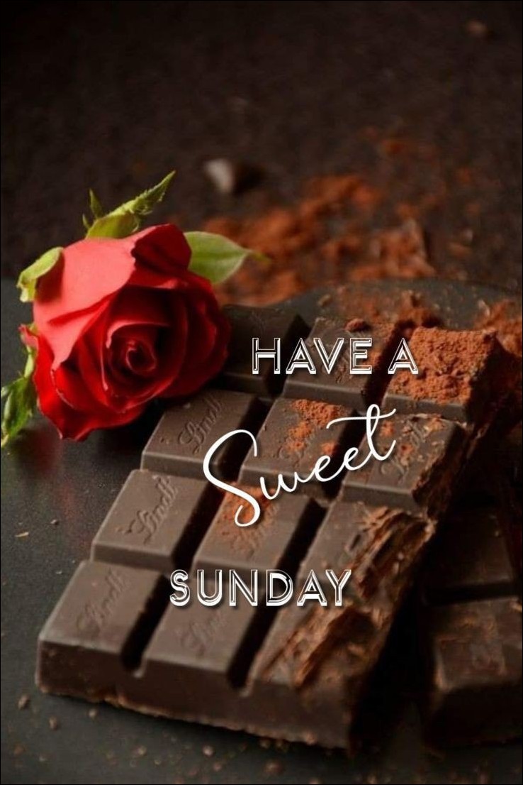 good-morning-happy-sunday-images good-morning-happy-sunday-images