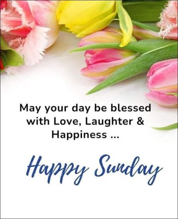 good-morning-happy-sunday-images good-morning-happy-sunday-images