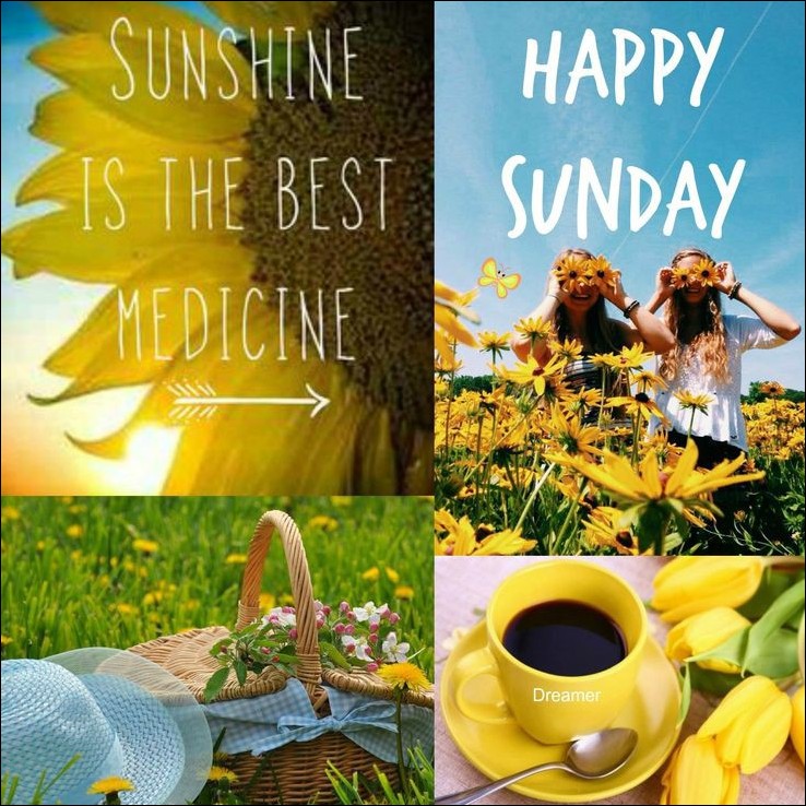 good-morning-happy-sunday-images good-morning-happy-sunday-images