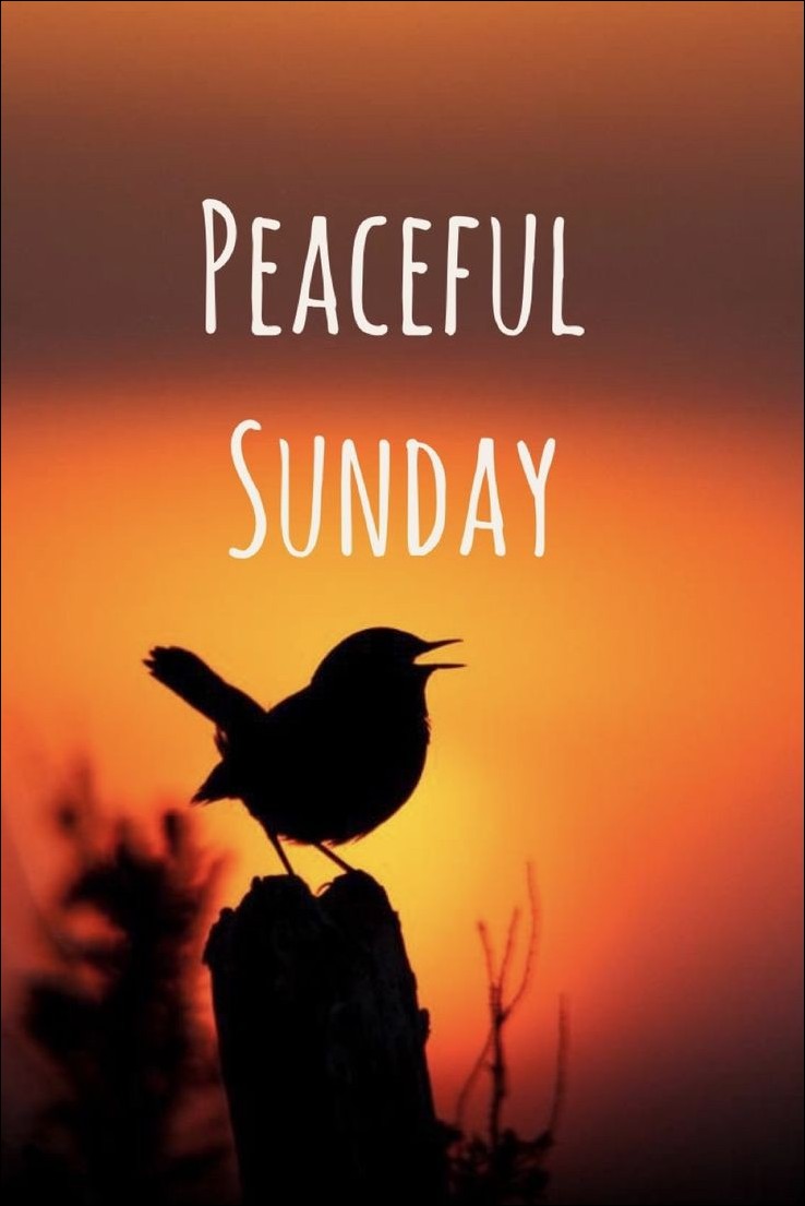 good-morning-happy-sunday-images good-morning-happy-sunday-images