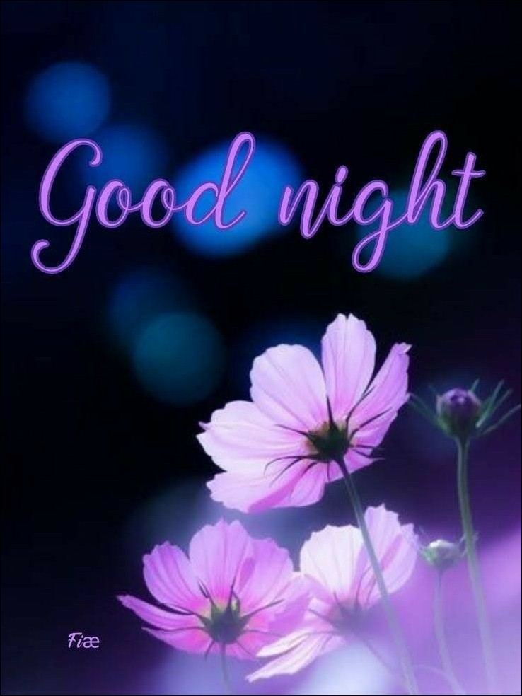 good-night-images-new