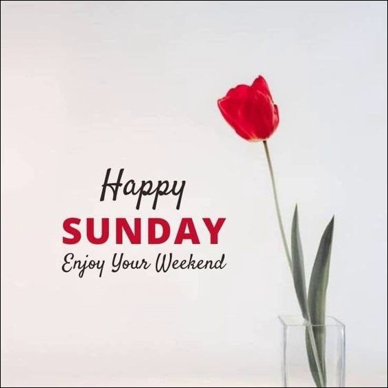 happy sunday images for whatsapp happy sunday images for whatsapp