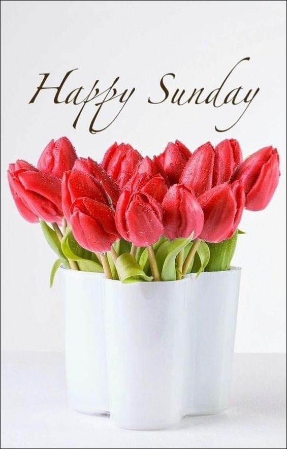 happy sunday images for whatsapp happy sunday images for whatsapp