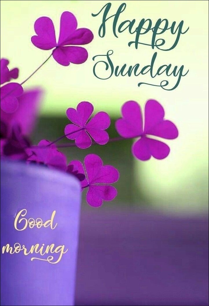happy sunday images for whatsapp happy sunday images for whatsapp