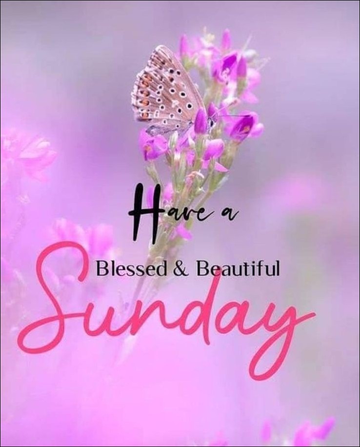 happy sunday images for whatsapp happy sunday images for whatsapp