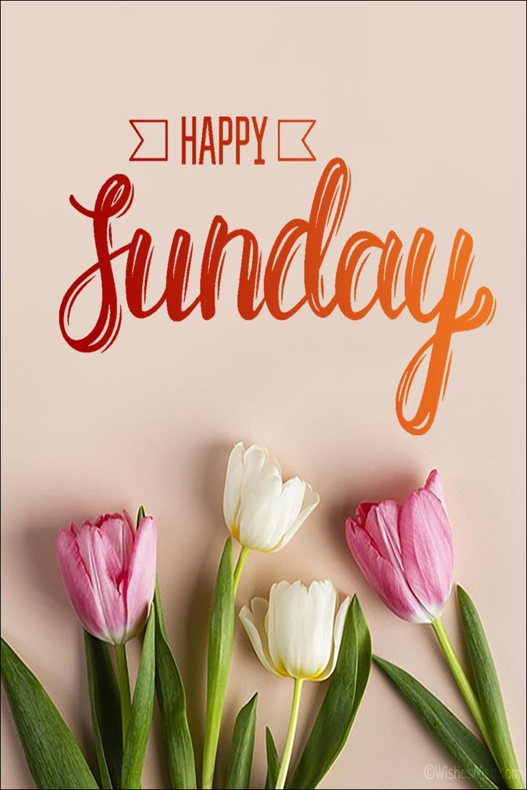 happy sunday images for whatsapp happy sunday images for whatsapp