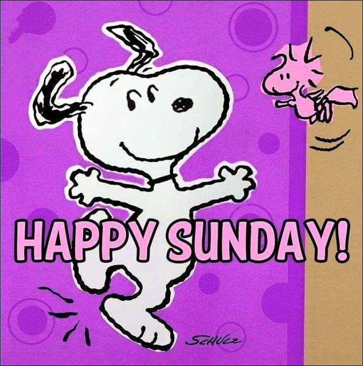 happy sunday images for whatsapp happy sunday images for whatsapp