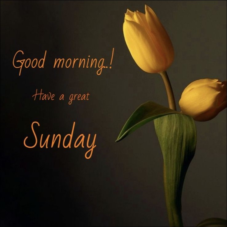 happy-sunday-images-hd happy-sunday-images-hd